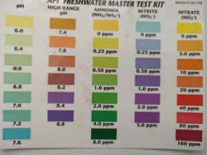 Mexico pik Anekdote API Freshwater Master Test Kit Review: Best Value for Water Tests?