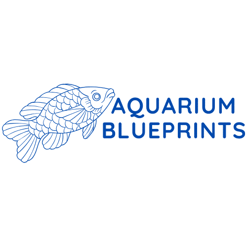 How to safely quarantine new aquarium fish